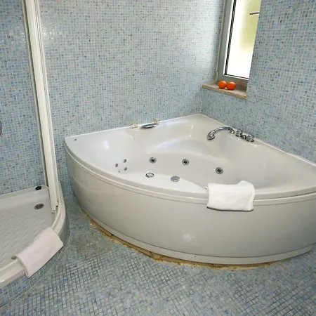 Guest house Feniks 3*
